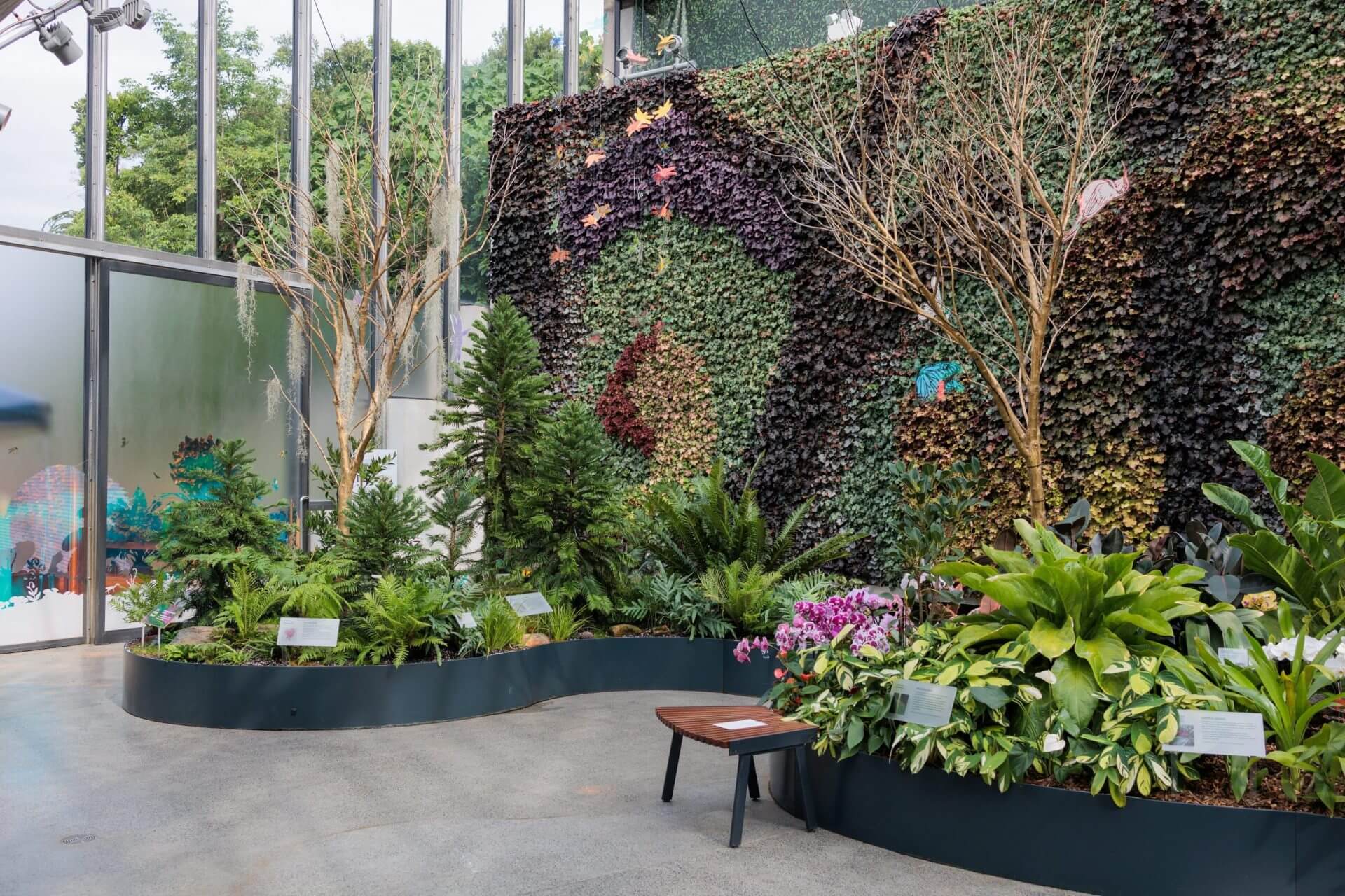 Sydney-Calyx Image
